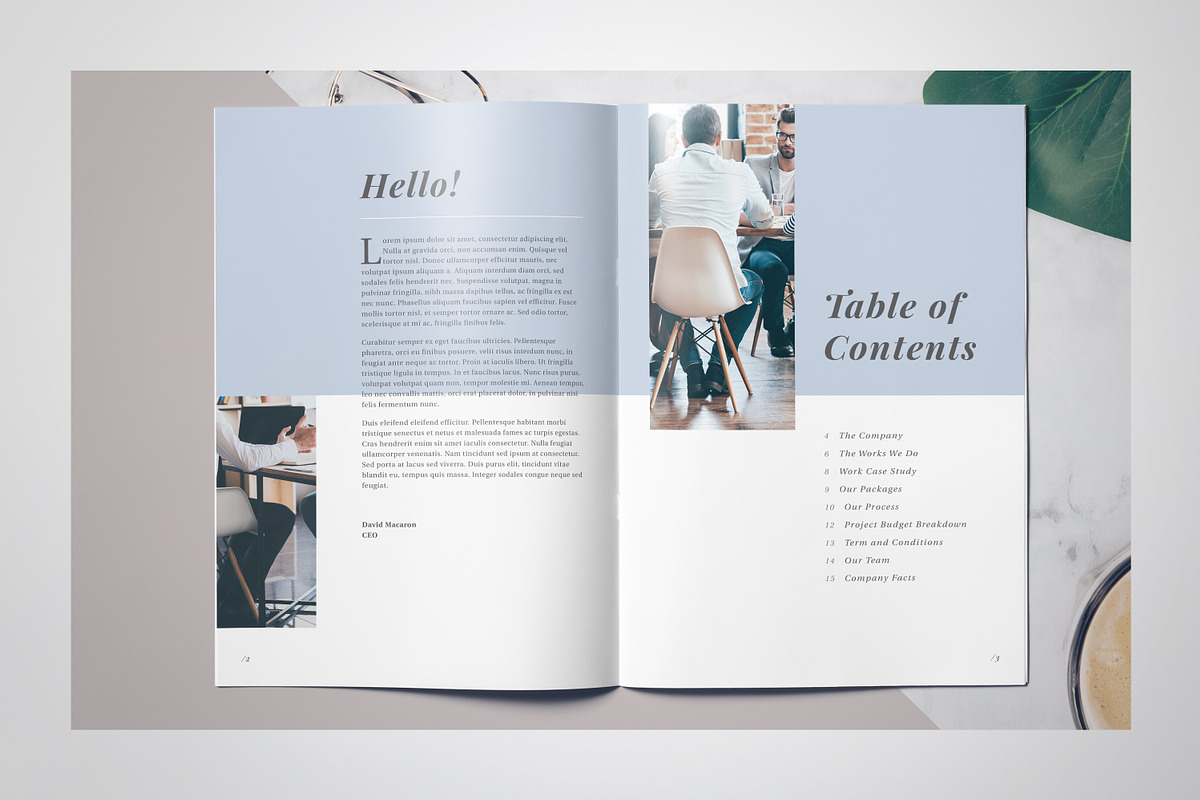 Maricel Zenarosa Proposal, a Brochure Template by rinatyassari (Photo 2 of 9)