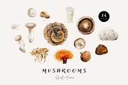 Mushroom illustration. Fungi clipart, a Food Illustration by Diana Askarova Art (Thumbnail 1 of 6)