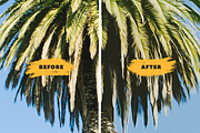 From Photo to Draw preview 2