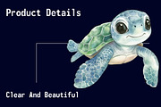 Watercolor Coastal Baby Clipart PNG, a Seasonal Illustration by CitraGraphics (Thumbnail 6 of 6)