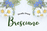 Bresciano Script, a Script Font by adelaide (Thumbnail 1 of 4)