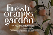 Climas Elegant Serif Font, a Font by Perfectype (Thumbnail 4 of 8)