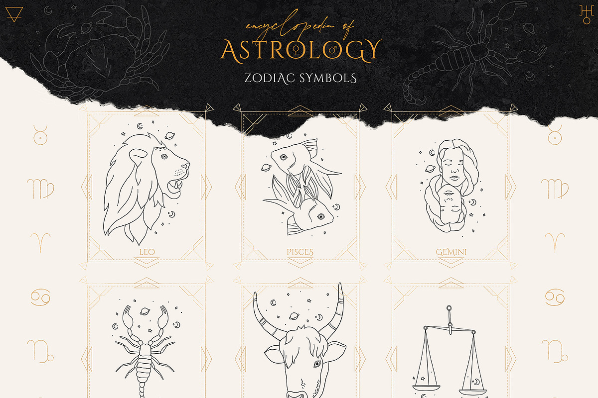 Encyclopedia of Astrology, an Animal Illustration by Julia Dreams (Photo 6 of 14)