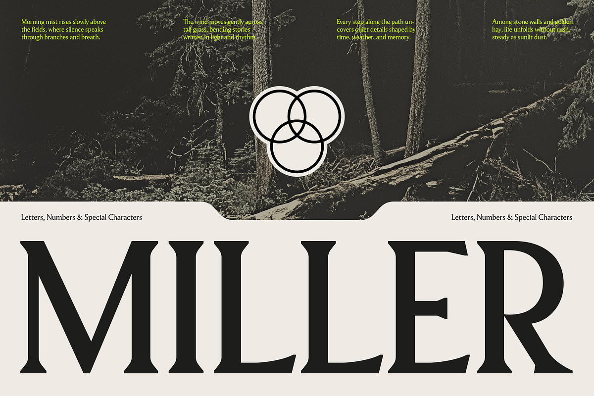 Pavilion Serif Typeface, a Serif Font by God Control (Photo 12 of 12)