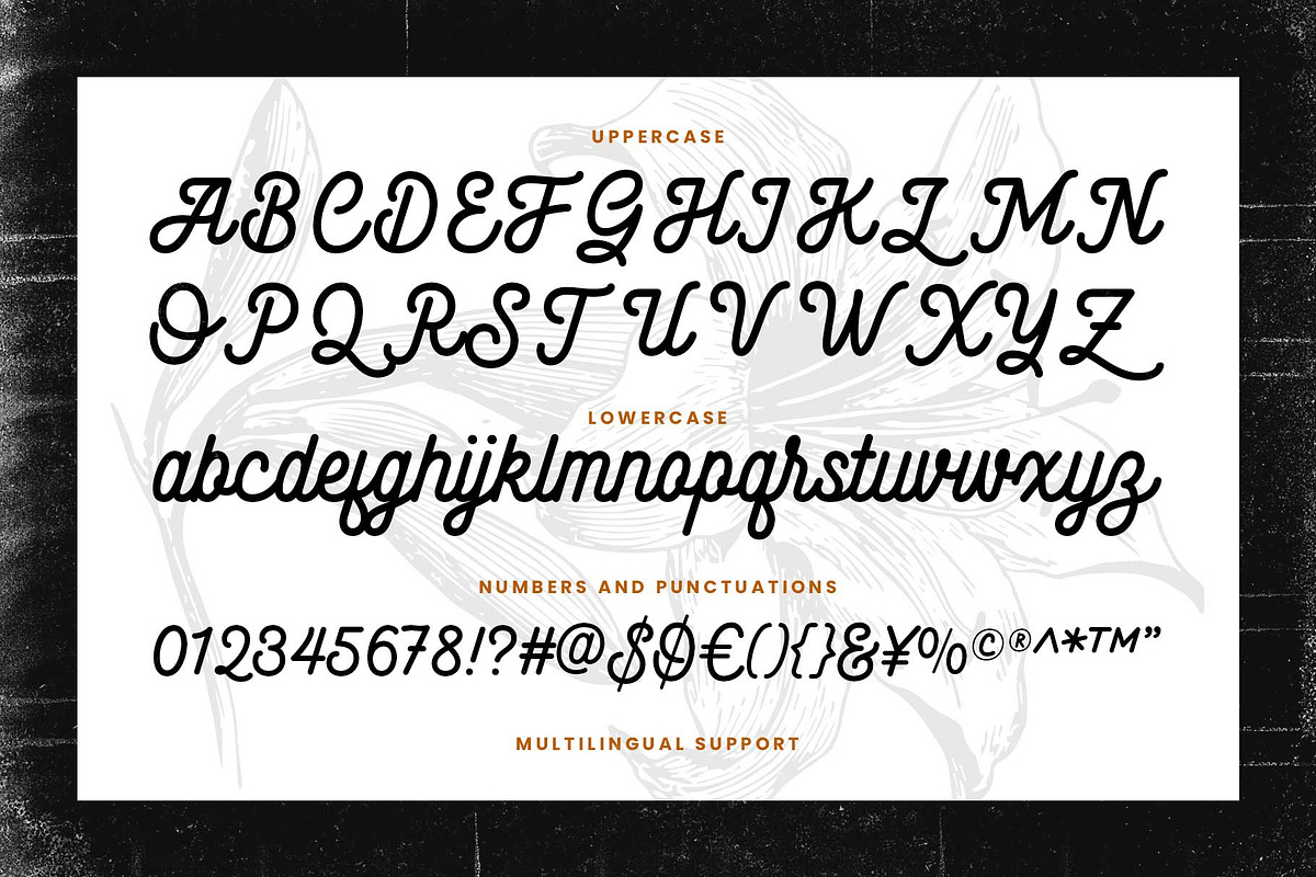 Monoline Script - Shadenia, a Script Font by Novitype (Photo 12 of 13)