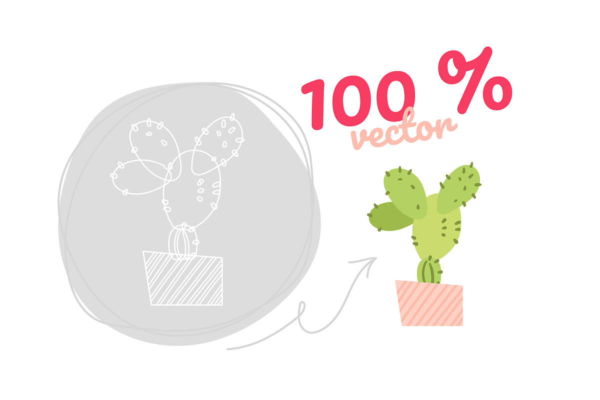 Potted Plants Bundle, a Templates & Theme by Boyko Pictures (Photo 4 of 12)