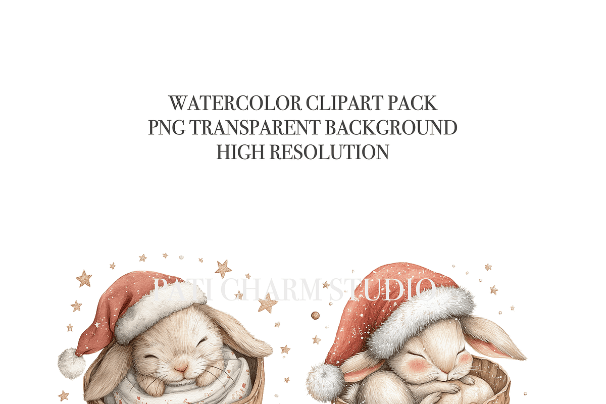 16 Christmas Bunny Clipart, a Decorative Illustration by Pati Charm Studio (Photo 5 of 8)