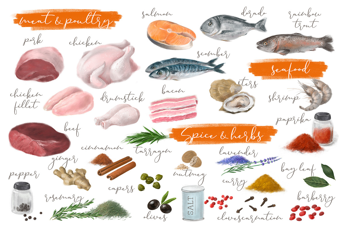 Diets Creator. Element Set, a Food Illustration by LeiaSW (Photo 4 of 8)