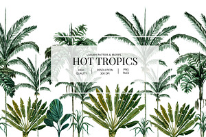 Hot Tropics