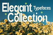 Bentona Athiroen (27 Fonts Style), a Serif Font by IM Studio (Thumbnail 6 of 11)