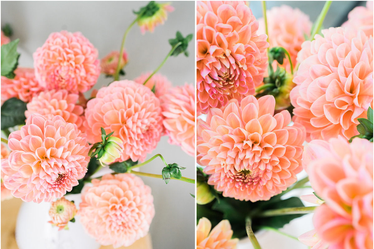 Dahlia Floral Styled Stock Images, a Social Media Template by LaPorte Images (Photo 2 of 4)