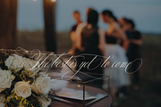 Allegra Script, a Script Font by Creative Foundry (Thumbnail 5 of 8)