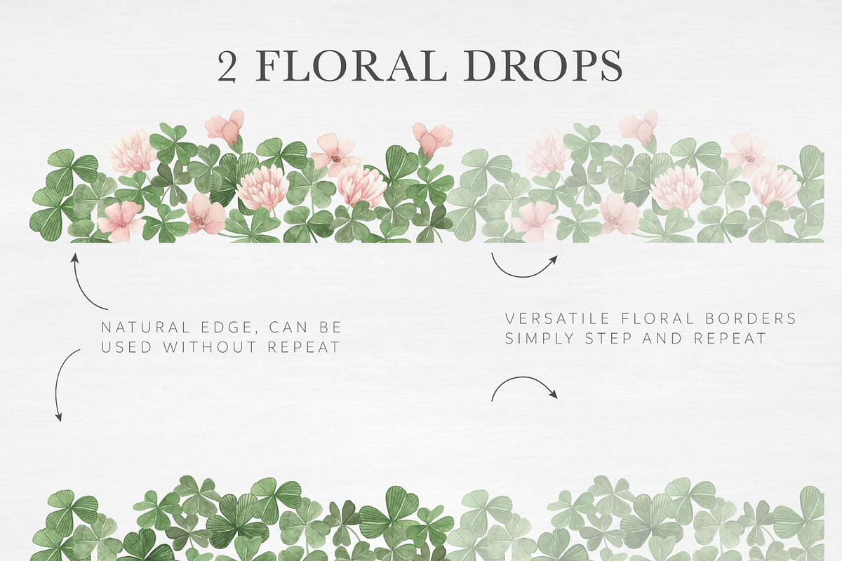 Clover Botanista - Leaves & Florals, an Illustration by Momo Studio (Photo 10 of 12)