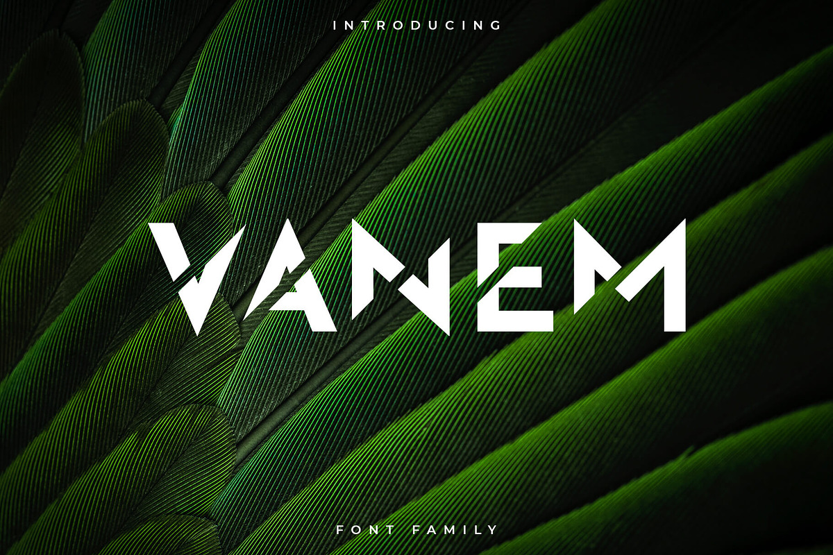 Vanem Font Family – Display Font, a Font by RC graphics (Photo 1 of 8)