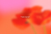 Bold Bloom – Floral Backgrounds, a Background Graphic by StudioMorf (Thumbnail 4 of 14)