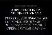 Brays unique display serif font, a Serif Font by suhadidesign (Thumbnail 9 of 11)