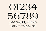 Vaggoe Elegant Serif Font, a Serif Font by Artiveko (Thumbnail 7 of 10)
