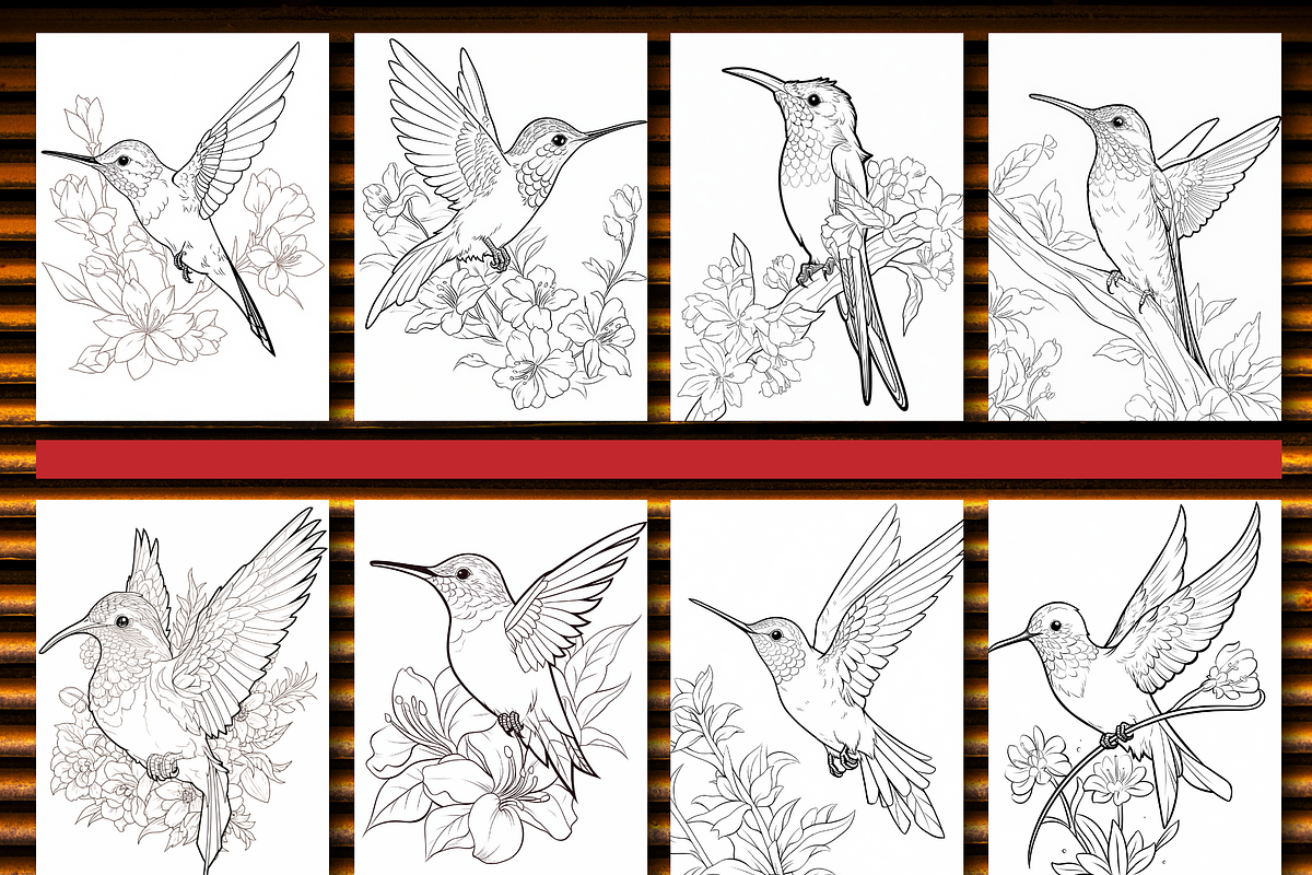 Hummingbird Coloring Pages Vol 01, an Animal Illustration by Design Haven