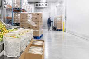 Vegetable processing plant with conv, a Photo by Dvoevnore photos