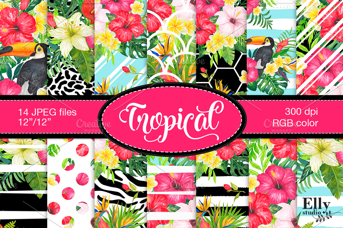 Watercolor Tropical Clip Art, an Illustration by Elly Studio (Photo 4 of 9)