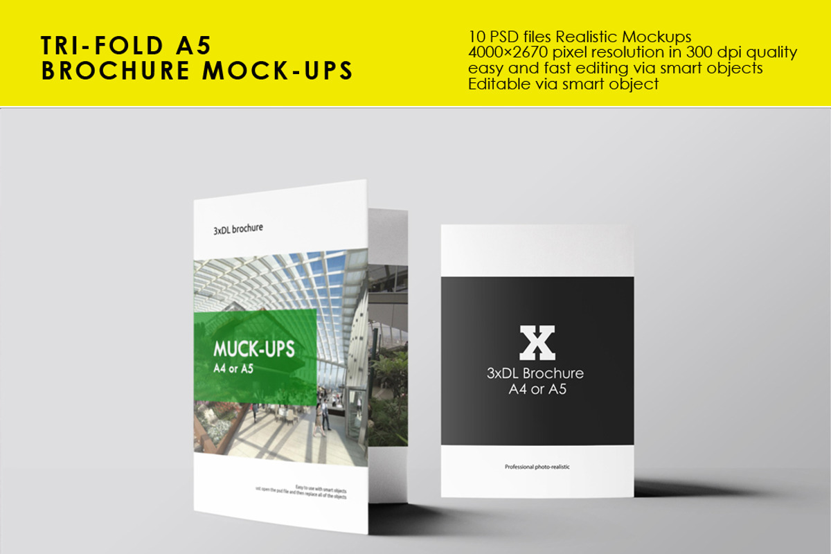 Tri-Fold A5 Brochure Mock-ups, a Print Template by resumetemplathttps ...