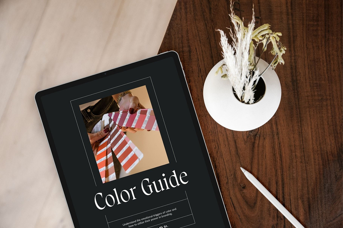 Color Palette Guide, a Palette Add-On by Meteor Street Studio (Photo 4 of 4)