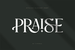 Praise Elegant Stylish Font, a Serif Font by Typebae