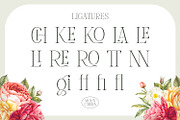 Mounchera - Art Deco Serif, a Serif Font by Variatype (Thumbnail 12 of 14)