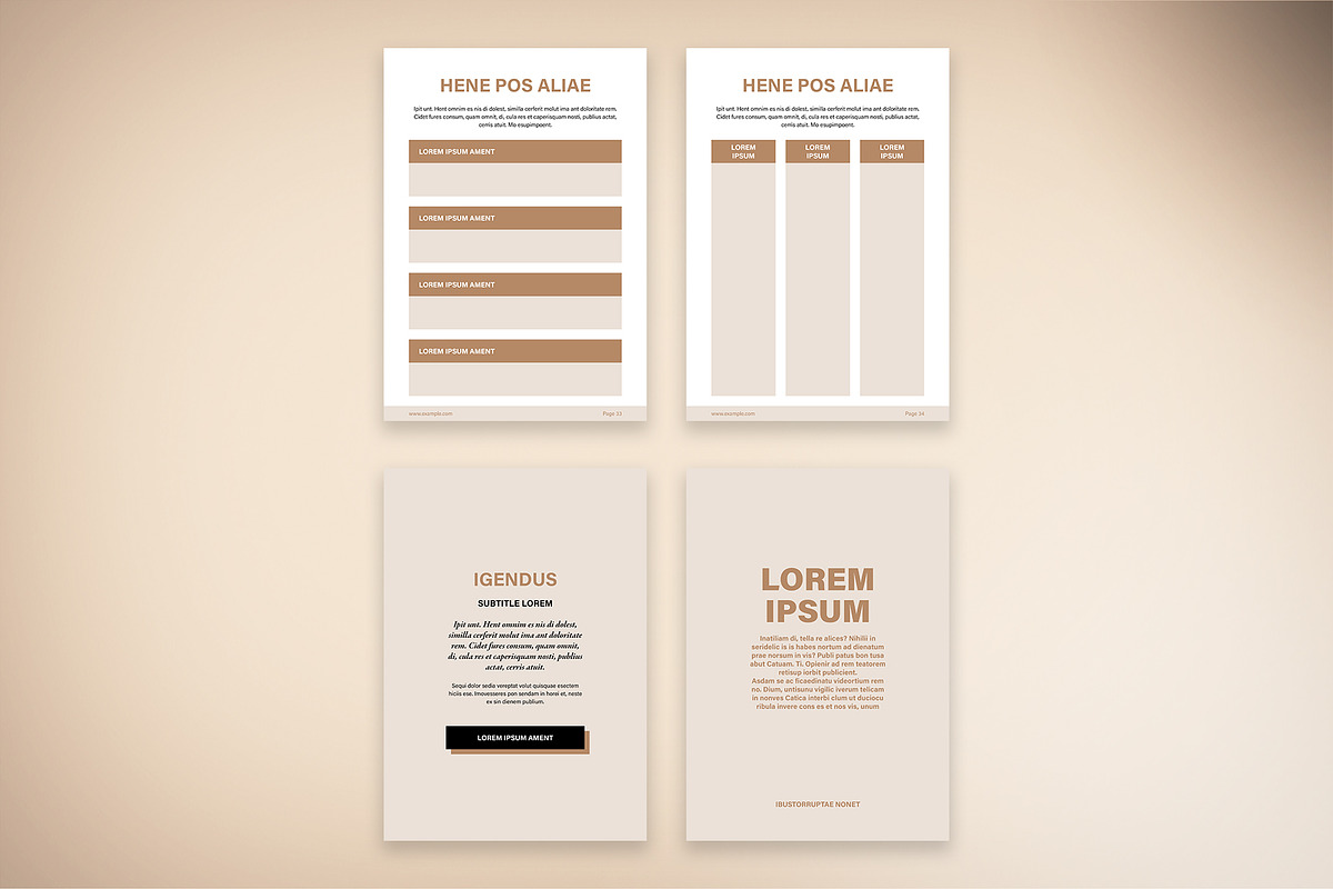 WorkBook Design Creator for Coaches, a Stationery Template by McLittle Stock (Photo 6 of 6)