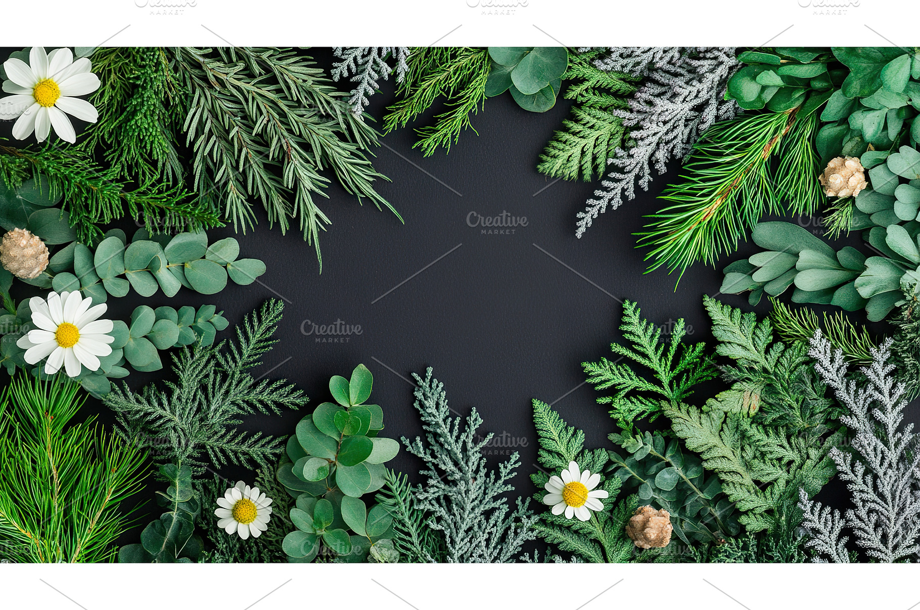 Floral frame of greenery and white, a Nature Photo by Lermont51