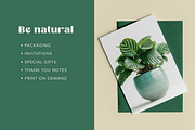 Home Plants, a Nature Photo by Typedreams.site (Thumbnail 6 of 9)