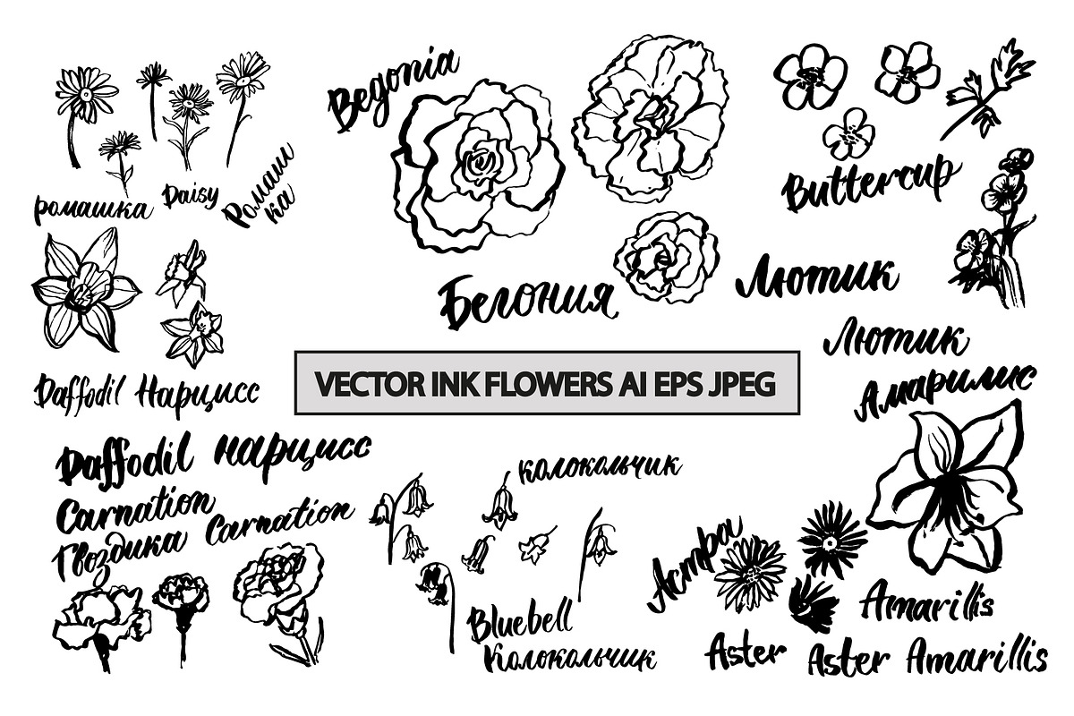 Black ink flower drawing pack, a Decorative Illustration by Pollyksena (Photo 1 of 3)