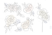 One Line Rose Flower Illustrations, a Decorative Illustration by Alina Kruss (Thumbnail 5 of 9)