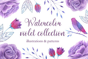 Watercolor violet collection