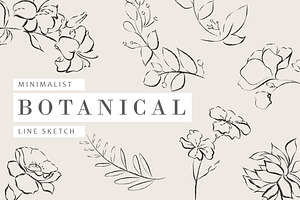 Minimalist Botanical Line Sketches