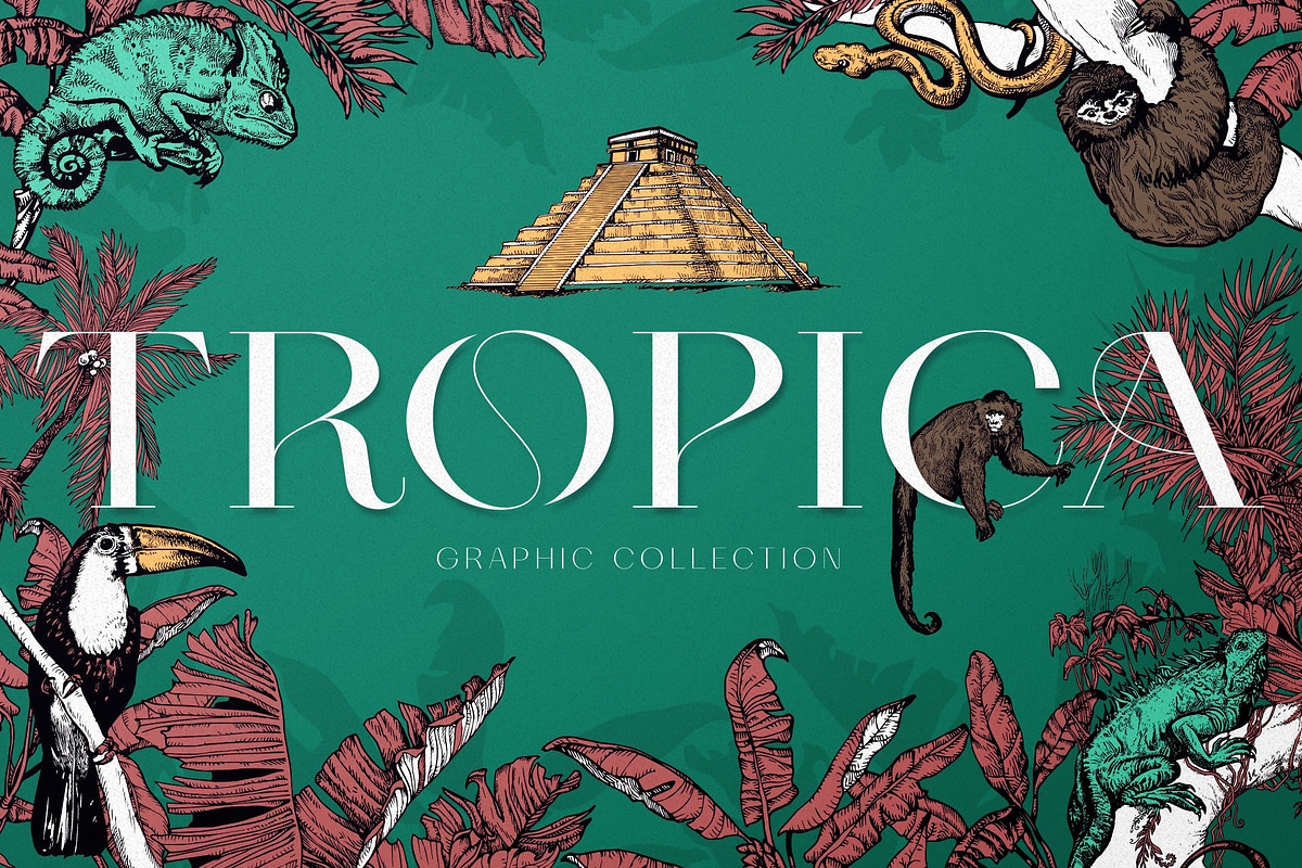 Tropica Collection, a Seasonal Illustration by Michael Rayback Design (Photo 1 of 15)