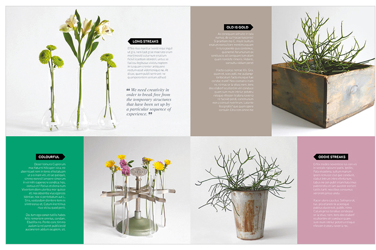 Magazine Template InDesign 16, a Magazine Template by Love Graphic Design (Photo 15 of 20)