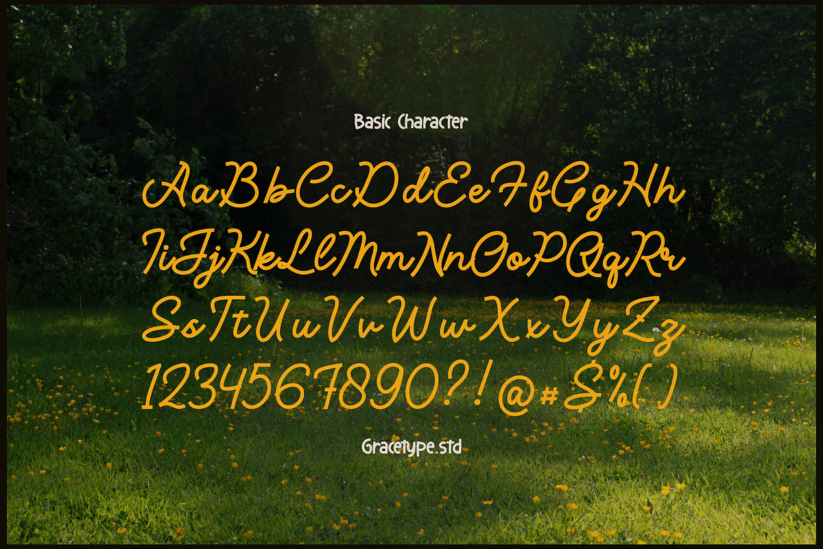 Averty Meadow | Monoline Script, a Script Font by gracetype_studio (Photo 10 of 12)