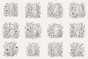 Floral Alphabet Botanical Line Art, a Decorative Illustration by AW Studios (Thumbnail 2 of 6)