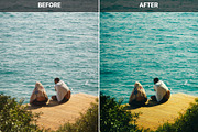AI Analog Vacation Diary Presets, a Preset Add-On by AAA Presets (Thumbnail 8 of 12)