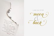 Analogous | Elegant Calligraphy, a Script Font by Analogous (Thumbnail 8 of 14)