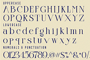 Starting Martello - Ligature Font, a Serif Font by 177Studio (Thumbnail 7 of 7)
