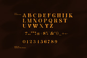 Venom Elegant Serif Font, a Serif Font by Perfectype (Thumbnail 8 of 8)