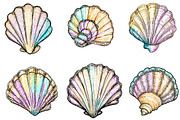 Hand Drawn Seashell Clipart, an Illustration by Designking (Thumbnail 4 of 5)