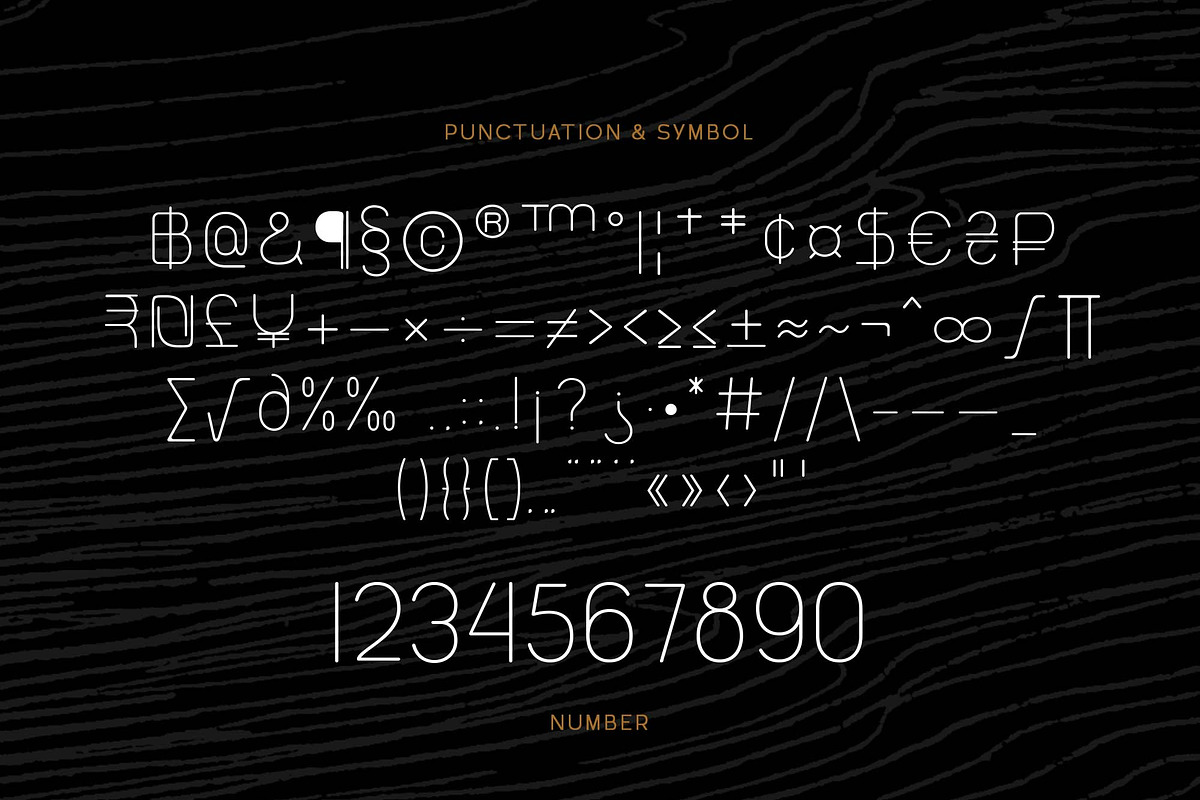 Melaround - Monoline Typeface, a Sans Serif Font by Ardyanatypes (Photo 11 of 12)