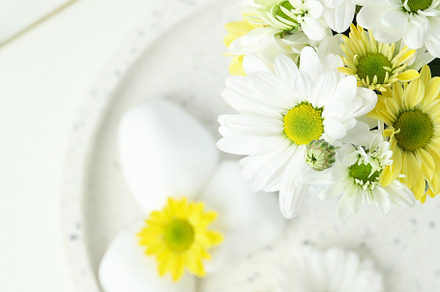 Beautiful composition with chrysanthemums on white table, a Nature Photo by AtlasStudio PRO