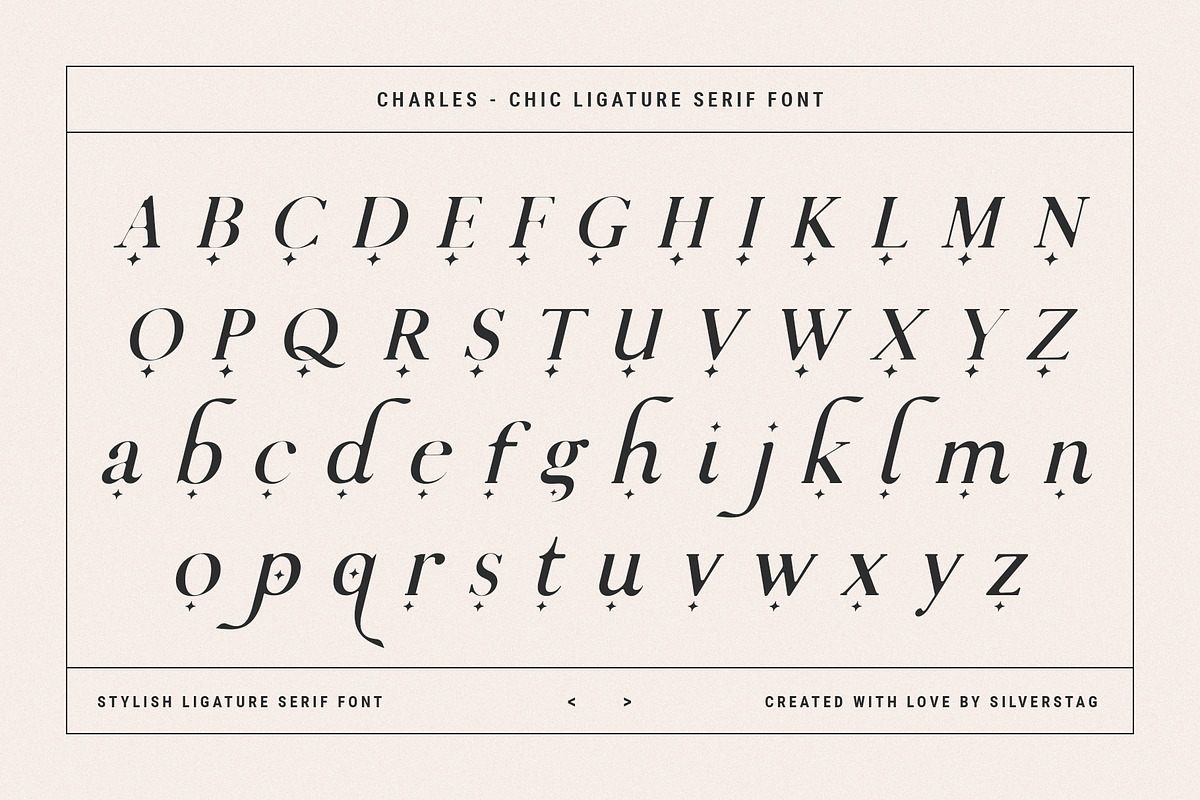 Charles - Ligature Serif Font Family, a Serif Font by SilverStag Type Foundry (Photo 25 of 32)