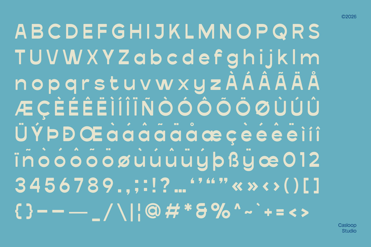 Falkenberg – Vintage Rough Display, a Sans Serif Font by Casloop Studio (Photo 8 of 10)