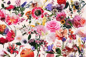 70 Vintage Floral Cut-Outs