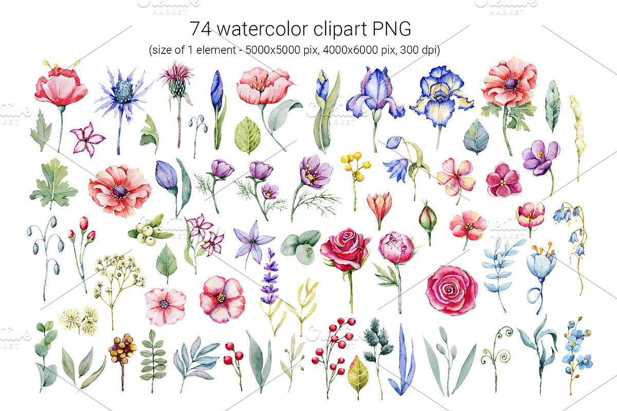 Watercolor wildflowers set, an Illustration by Artmanata (Photo 2 of 26)